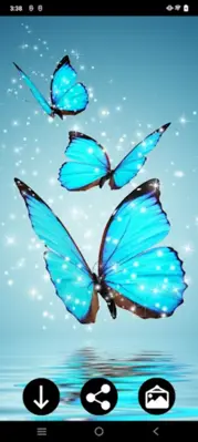 Neon Butterfly Wallpapers android App screenshot 4